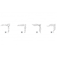 Sistema de tallado 3D Carver - Tallados para pequeñas decoraciones y esquinas Sistema de tallado 3D Carver - Tallados para pequeñas decoraciones y esquinas